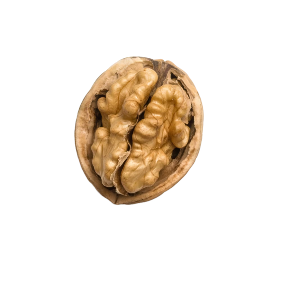 mstile-310x310.png